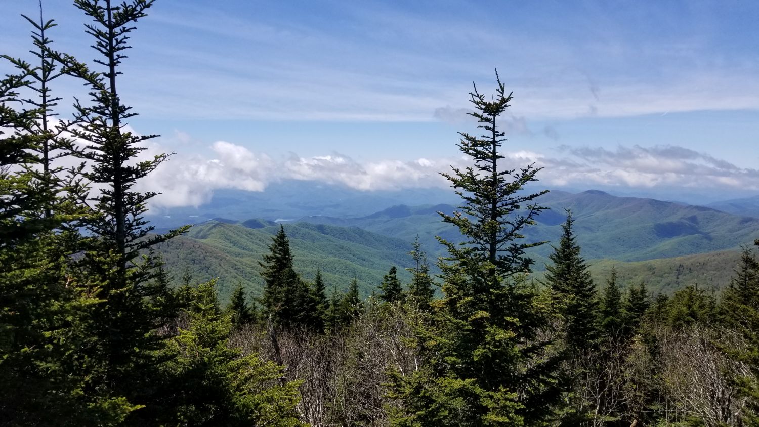 Clingmans's Dome Parking Lot 